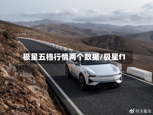极星五档行情两个数据/极星f1-第3张图片
