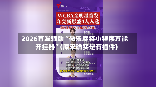 2026首发辅助“微乐麻将小程序万能开挂器”(原来确实是有插件)