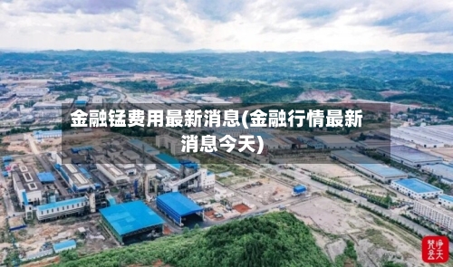 金融锰费用最新消息(金融行情最新消息今天)-第3张图片