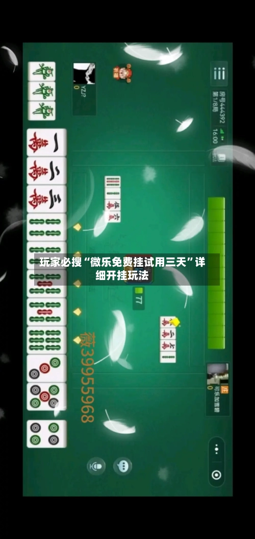 玩家必搜“微乐免费挂试用三天”详细开挂玩法