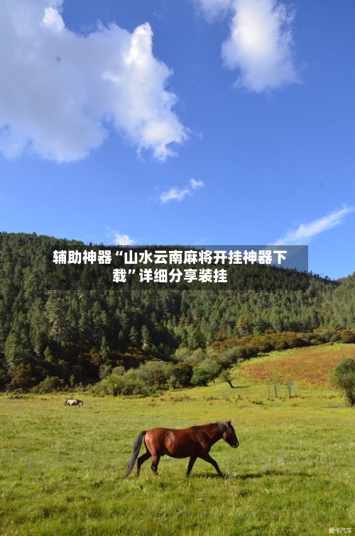 辅助神器“山水云南麻将开挂神器下载”详细分享装挂