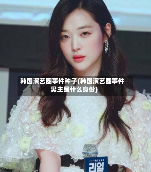 韩国演艺圈事件种子(韩国演艺圈事件男主是什么身份)