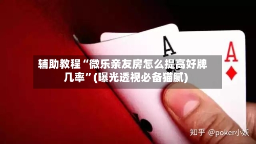 辅助教程“微乐亲友房怎么提高好牌几率	”(曝光透视必备猫腻)-第2张图片