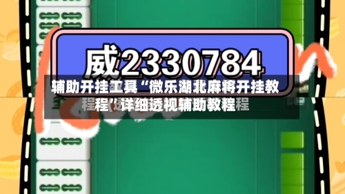 辅助开挂工具“微乐湖北麻将开挂教程”详细透视辅助教程-第3张图片