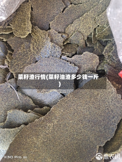菜籽渣行情(菜籽油渣多少钱一斤)-第2张图片