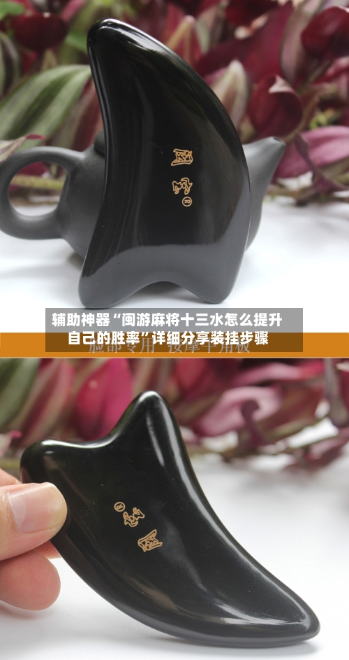 辅助神器“闽游麻将十三水怎么提升自己的胜率”详细分享装挂步骤-第3张图片