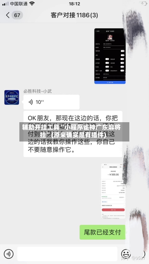 辅助开挂工具“小程序雀神广东麻将挂”(原来确实是有插件)
