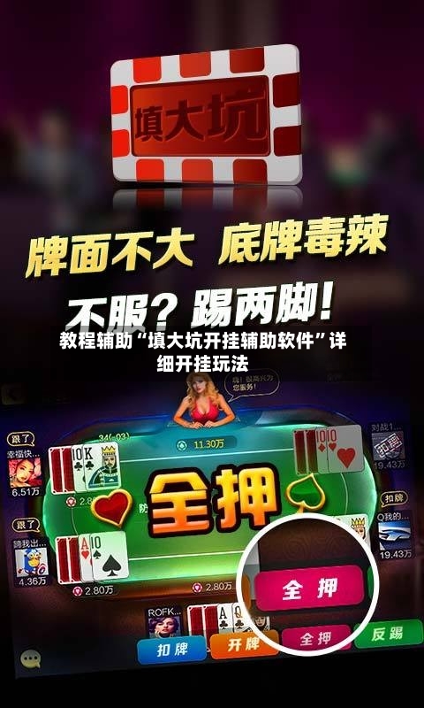 教程辅助“填大坑开挂辅助软件”详细开挂玩法-第2张图片