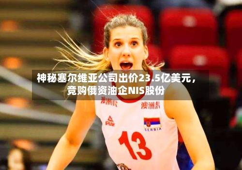 神秘塞尔维亚公司出价23.5亿美元，竞购俄资油企NIS股份-第3张图片