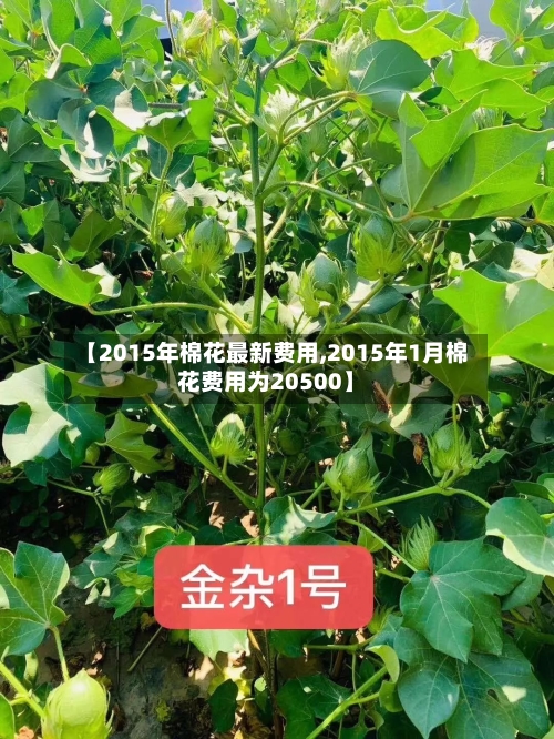 【2015年棉花最新费用,2015年1月棉花费用为20500】-第3张图片