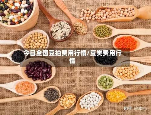 今日全国豆拍费用行情/豆类费用行情-第2张图片