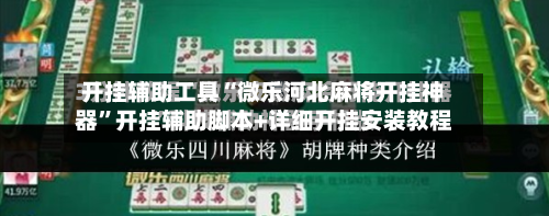 开挂辅助工具“微乐河北麻将开挂神器”开挂辅助脚本+详细开挂安装教程-第3张图片