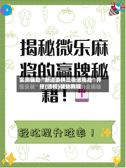 实测辅助“新道游拼三张透视挂”开挂(透视)辅助教程-第2张图片