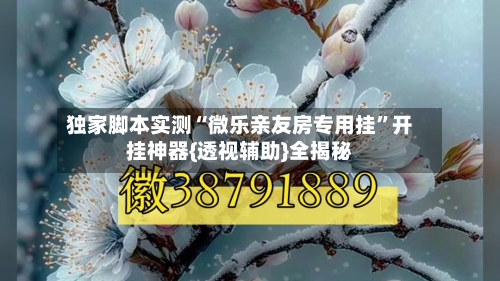 独家脚本实测“微乐亲友房专用挂”开挂神器{透视辅助}全揭秘-第2张图片