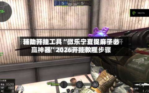 辅助开挂工具“微乐宁夏捉麻子必赢神器”2026开挂教程步骤-第2张图片