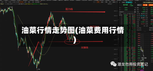 油菜行情走势图(油菜费用行情)