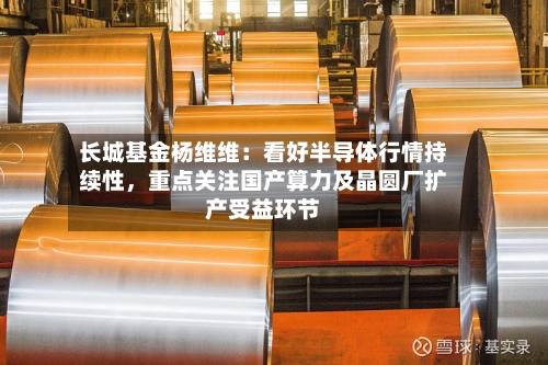 长城基金杨维维：看好半导体行情持续性	，重点关注国产算力及晶圆厂扩产受益环节-第2张图片