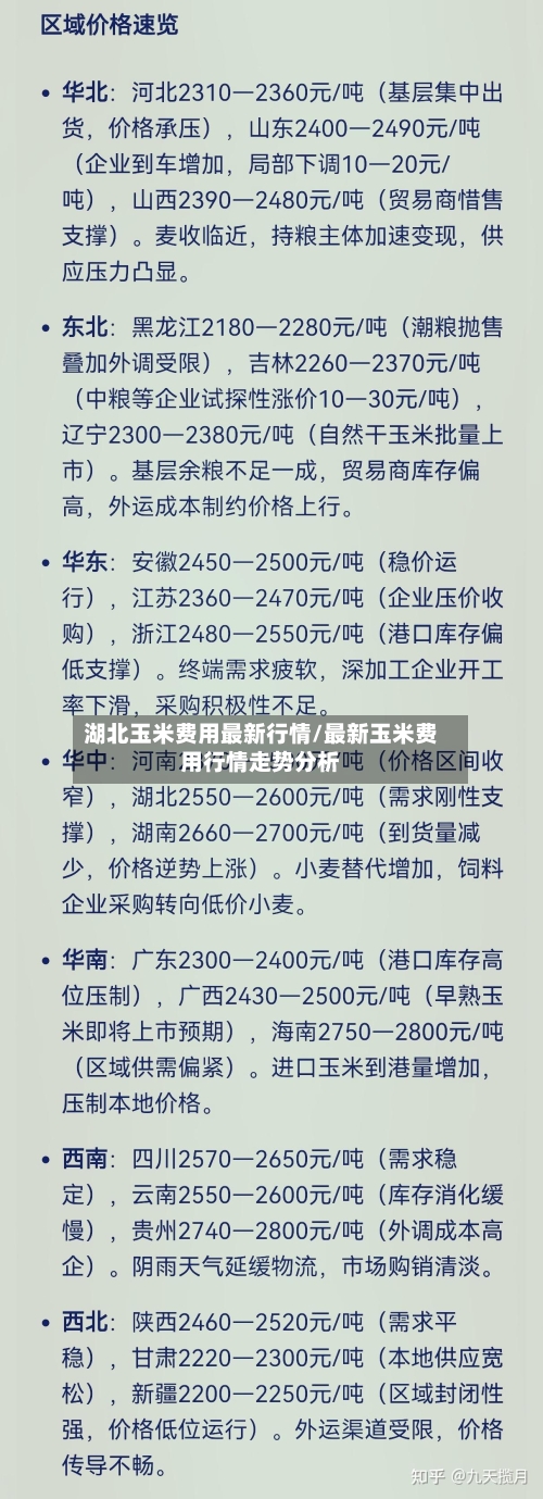 湖北玉米费用最新行情/最新玉米费用行情走势分析