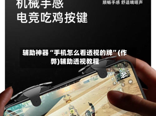 辅助神器“手机怎么看透视的牌”(作弊)辅助透视教程-第3张图片