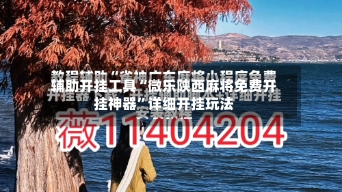 辅助开挂工具“微乐陕西麻将免费开挂神器”详细开挂玩法-第2张图片
