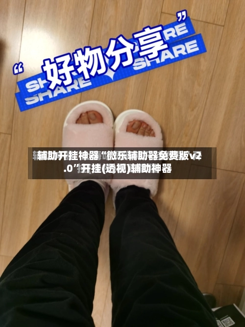 辅助开挂神器“微乐辅助器免费版v2.0”开挂(透视)辅助神器