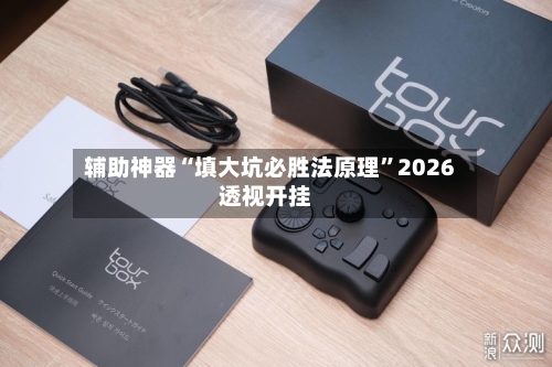 辅助神器“填大坑必胜法原理”2026透视开挂