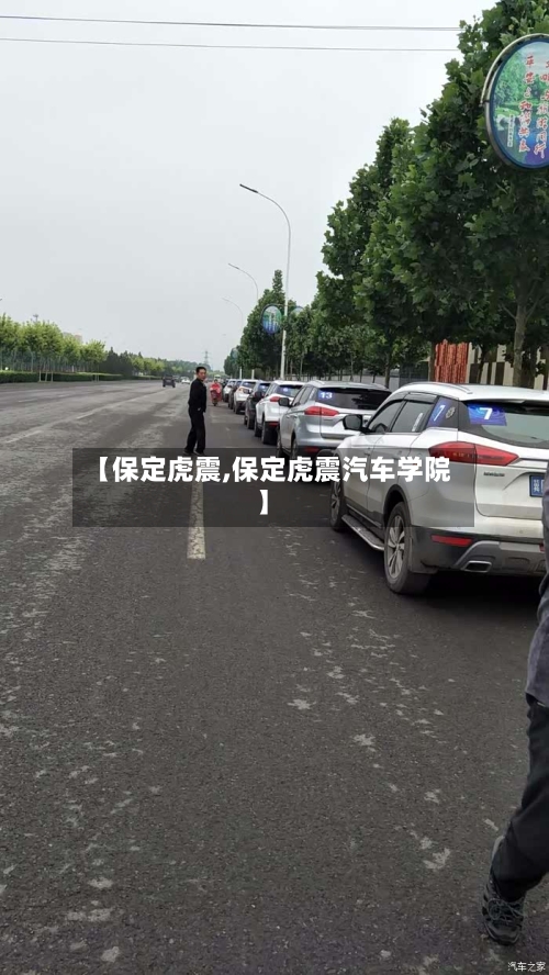 【保定虎震,保定虎震汽车学院】-第2张图片