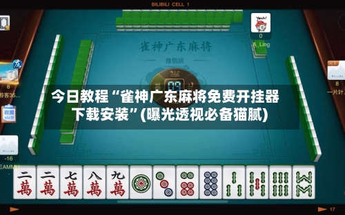 今日教程“雀神广东麻将免费开挂器下载安装	”(曝光透视必备猫腻)-第3张图片