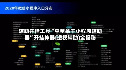 辅助开挂工具“中至余干小程序辅助器”开挂神器{透视辅助}全揭秘-第2张图片