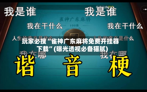 玩家必搜“雀神广东麻将免费开挂器下载”(曝光透视必备猫腻)-第2张图片