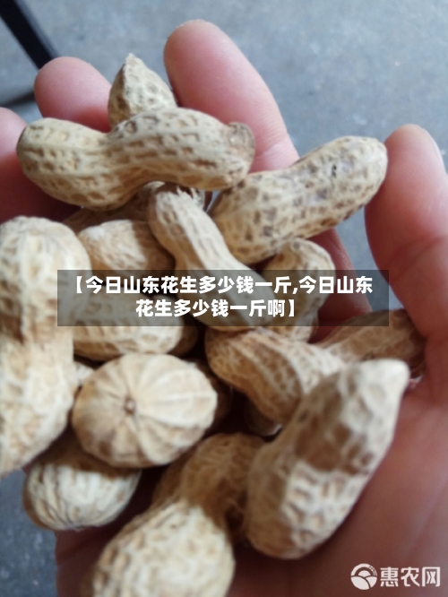 【今日山东花生多少钱一斤,今日山东花生多少钱一斤啊】
