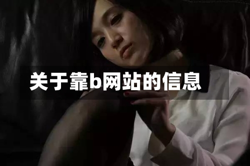 关于靠b网站的信息-第3张图片