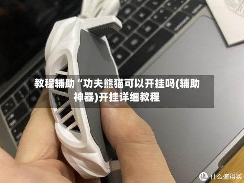 教程辅助“功夫熊猫可以开挂吗(辅助神器)开挂详细教程