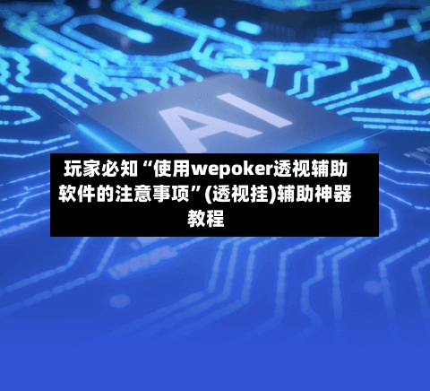 玩家必知“使用wepoker透视辅助软件的注意事项”(透视挂)辅助神器教程-第2张图片