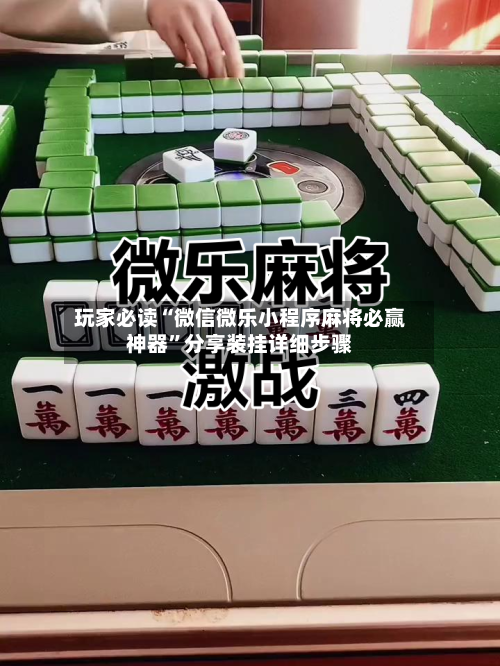 玩家必读“微信微乐小程序麻将必赢神器	”分享装挂详细步骤-第2张图片