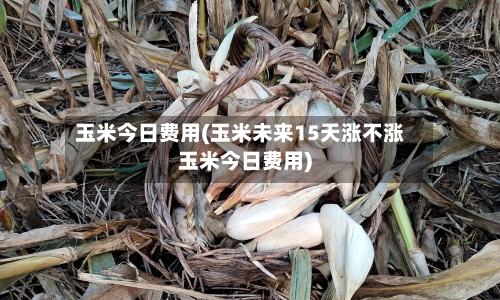 玉米今日费用(玉米未来15天涨不涨玉米今日费用)-第2张图片
