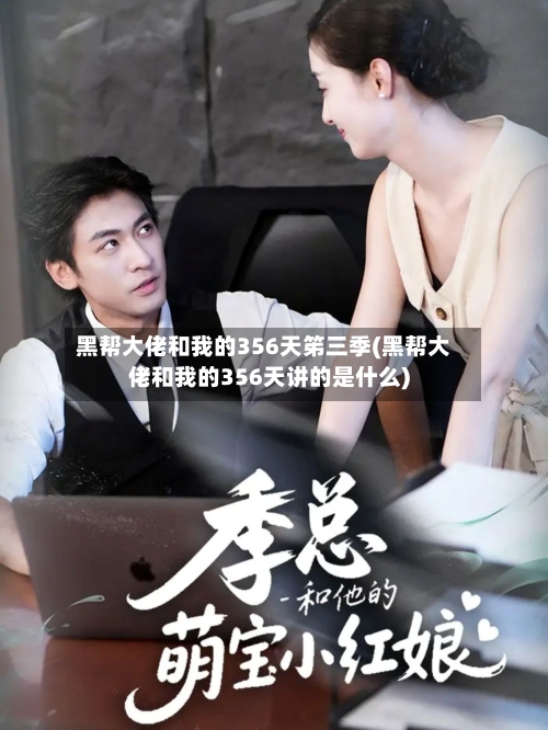 黑帮大佬和我的356天笫三季(黑帮大佬和我的356天讲的是什么)