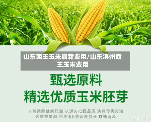 山东西王玉米最新费用/山东滨州西王玉米费用
