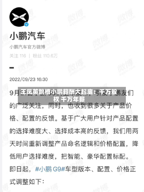 王凤英跳槽小鹏薪酬大起底:千万股权 千万年薪
