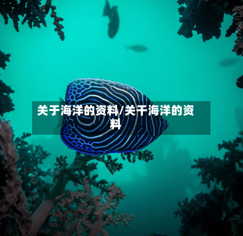 关于海洋的资料/关干海洋的资料-第2张图片
