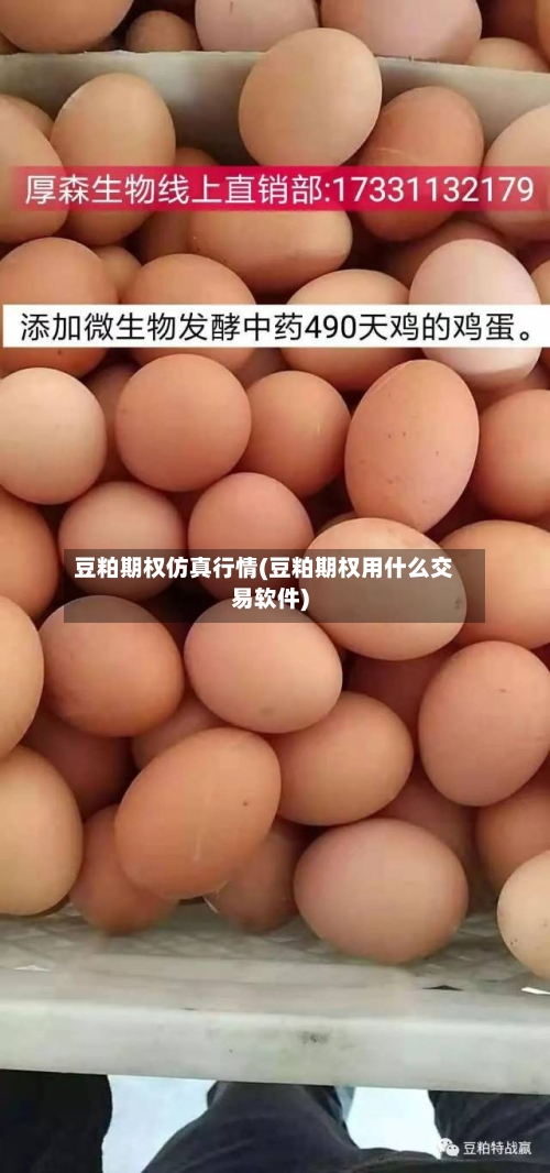 豆粕期权仿真行情(豆粕期权用什么交易软件)-第2张图片