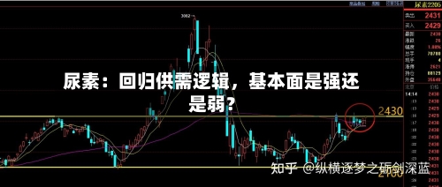 尿素：回归供需逻辑，基本面是强还是弱？