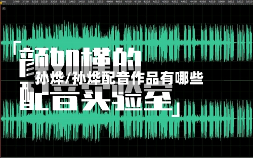 孙烨/孙烨配音作品有哪些-第3张图片