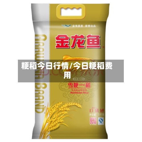 粳稻今日行情/今日粳稻费用-第3张图片