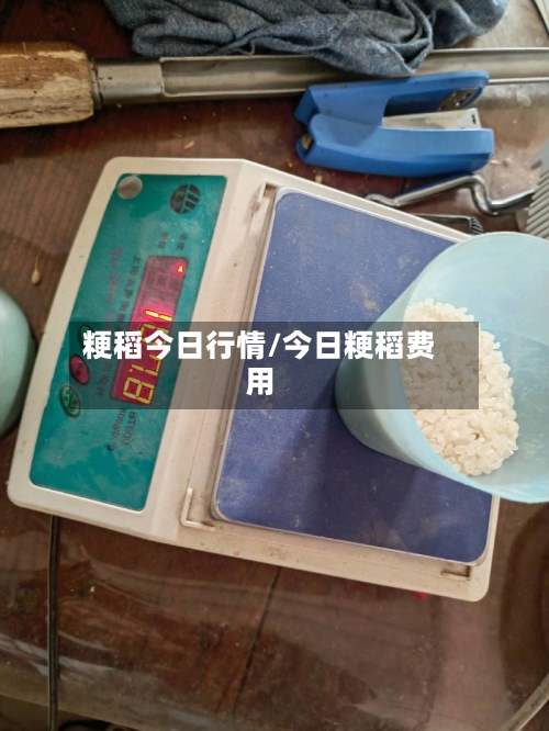 粳稻今日行情/今日粳稻费用-第2张图片