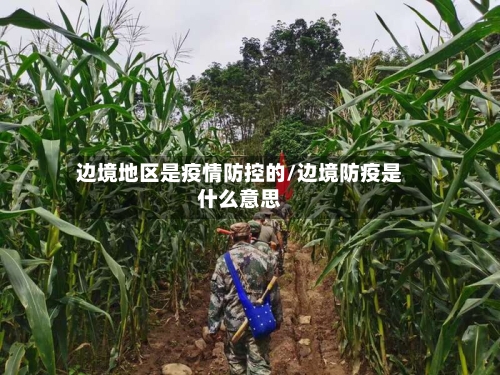 边境地区是疫情防控的/边境防疫是什么意思