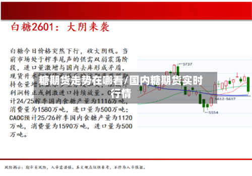 糖期货走势在哪看/国内糖期货实时行情