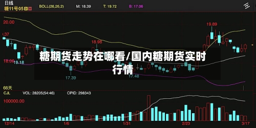 糖期货走势在哪看/国内糖期货实时行情-第2张图片