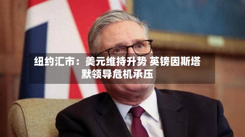 纽约汇市：美元维持升势 英镑因斯塔默领导危机承压-第2张图片