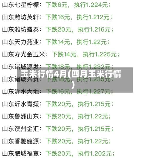 玉米行情4月(四月玉米行情)-第2张图片